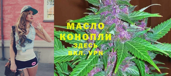 спиды Каменка