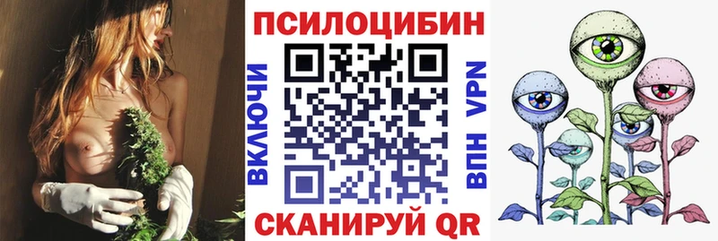 Галлюциногенные грибы Psilocybine cubensis hydra ссылки Александров